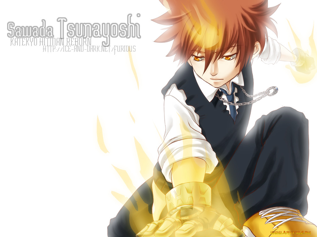 , katekyo, hitman, reborn